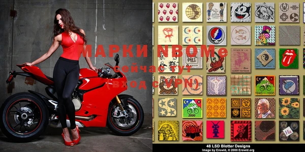 спиды Бородино