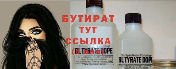 спиды Бородино