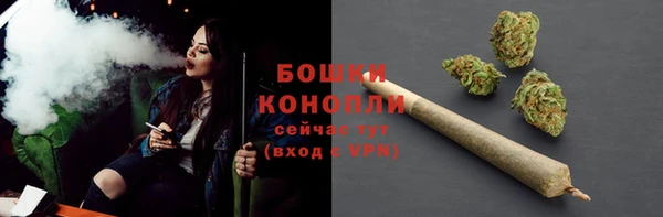 спиды Бородино