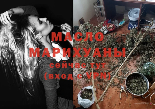 спиды Бородино