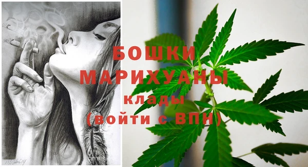спиды Бородино