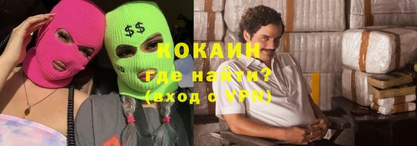спиды Бородино