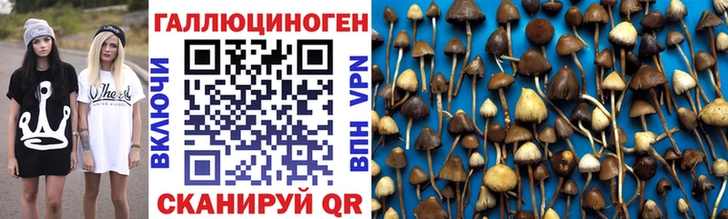 купить закладку  Новосокольники  Галлюциногенные грибы мухоморы 